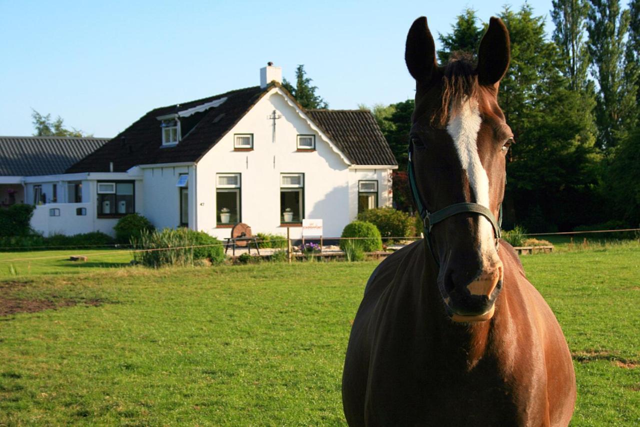 Locatie Het Knooppunt Engelse Chalet Nuis Eksteriør bilde